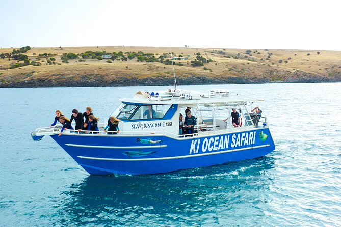 Kangaroo Island - Swim with Dolphins/Seals/Coastal Snorkel - Quick Takeaways