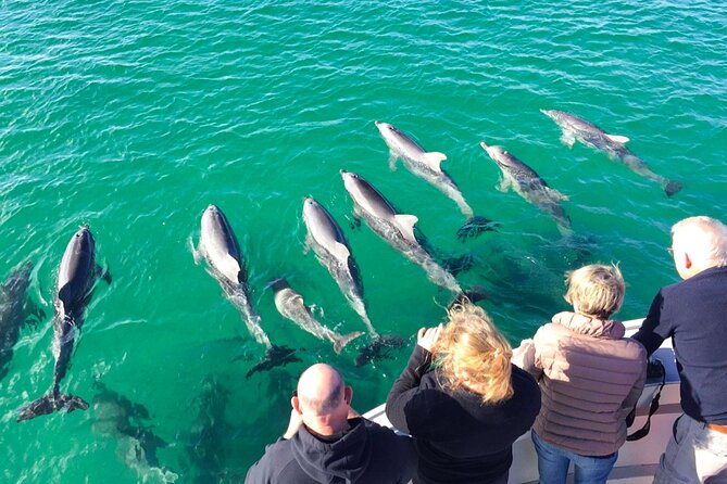 Kangaroo Island - Swim with Dolphins/Seals/Coastal Snorkel - Snorkeling in the Open Ocean: It’s Not Just Swimming, It’s Snorkeling Plus Work