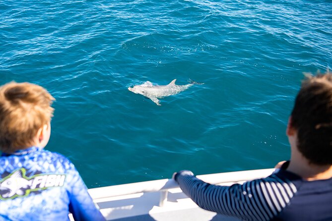 Kangaroo Island - Swim with Dolphins/Seals/Coastal Snorkel - Gear and Comfort: What’s Included and What You Should Bring
