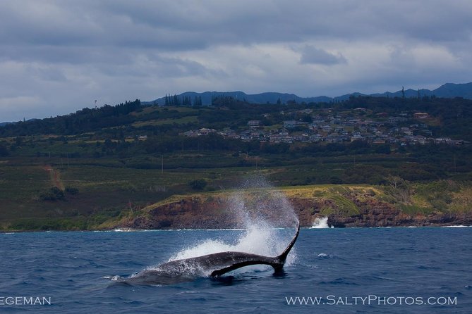 Kauai's South Side Whale and Dolphin Zodiac Boat Adventure - Getting To Kukuiʻula Harbor Beach in Poipu (and Getting Ready to Get Wet)