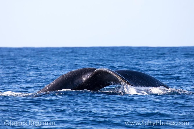 Kauai's South Side Whale and Dolphin Zodiac Boat Adventure - Spouting Horn: A Coastal Stop Before the Hunt