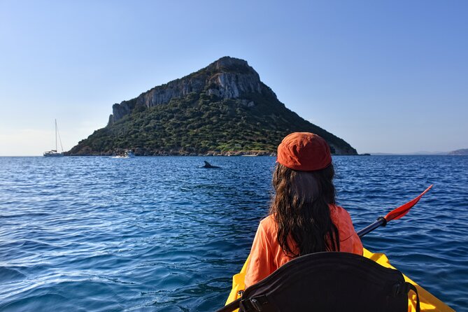 Kayak tour with aperitif and dolphins - Key highlights worth caring about
