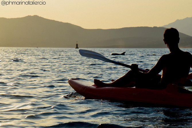 Kayak tour with aperitif and dolphins - Shoes, rocks, and the one gear tip that saves your feet