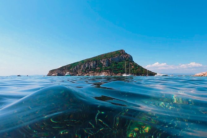 Kayak tour with aperitif and dolphins - Guides make the difference: how the crew turns stops into stories