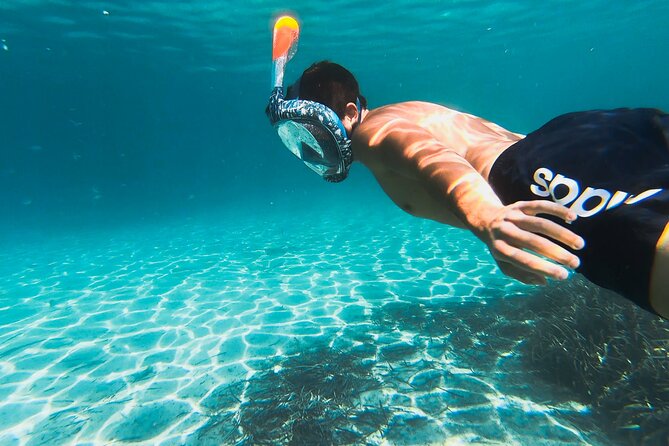 Kayak tour with aperitif and dolphins - Price check: is $54.42 worth it for a 3-hour trip?