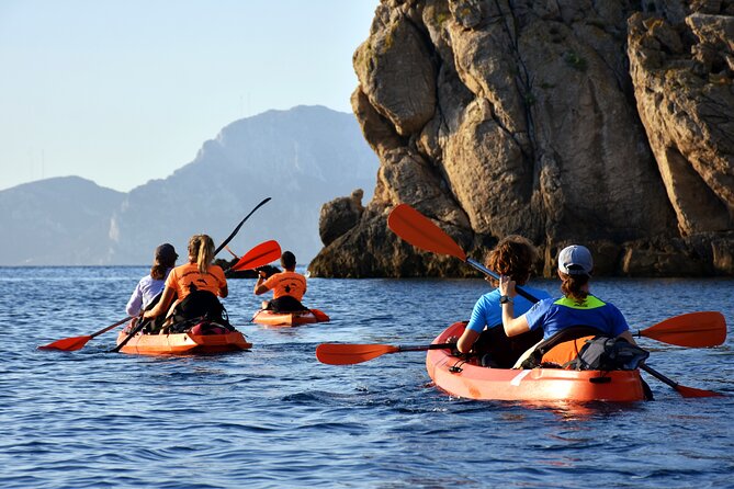Kayak tour with aperitif and dolphins - Capo Figari vibes: that coast-only-by-water feeling