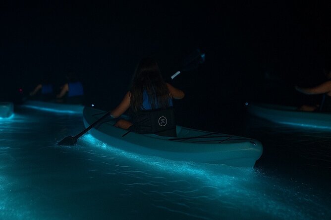 Kayak Tours and Rentals. Dolphins, Manatees, and Bioluminescence! - Kayak Tours and Rentals: What Makes This Lagoon Trip Special