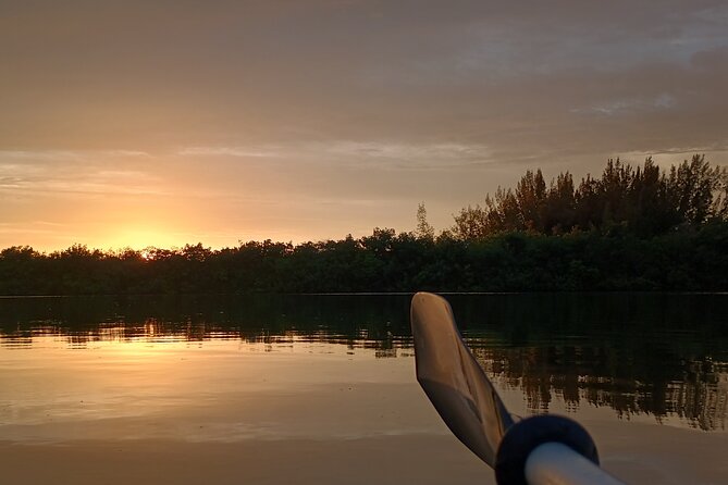 Kayak Tours and Rentals. Dolphins, Manatees, and Bioluminescence! - Eco Kayak on the Indian River Lagoon: What You’ll Do on the Water