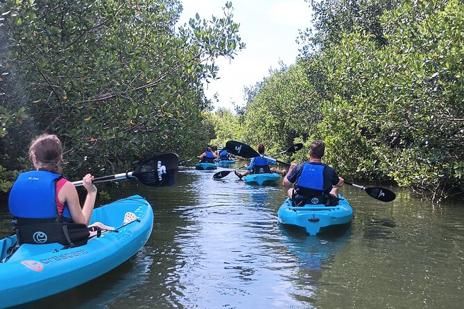 Kayak Tours and Rentals. Dolphins, Manatees, and Bioluminescence! - Gear, Comfort, and the “Moderate Fitness” Reality