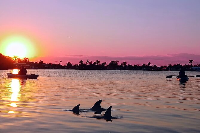 Kayak Tours and Rentals. Dolphins, Manatees, and Bioluminescence! - How the Lagoon Experience Adds Up (And Why It’s Worth $55)