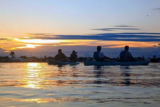 Kayak Tours and Rentals. Dolphins, Manatees, and Bioluminescence! - Best Times and Season Choices: Eco Day vs. Bioluminescence Night