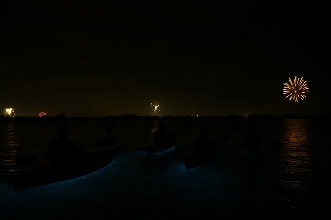 Kayak Tours and Rentals. Dolphins, Manatees, and Bioluminescence! - Should You Book? My Practical Take