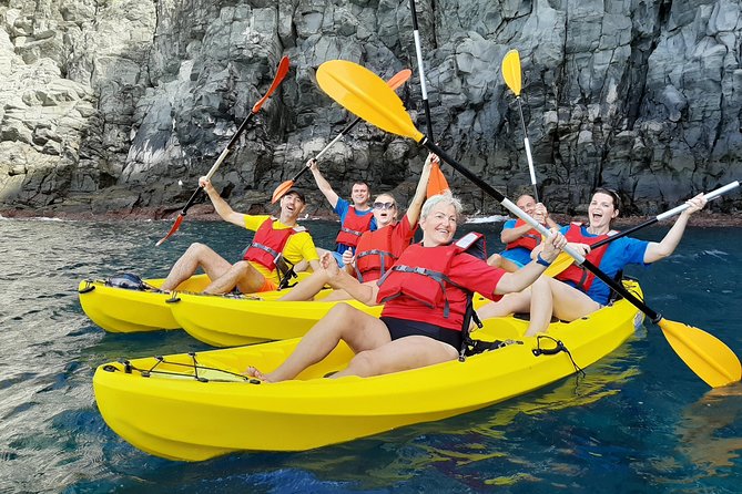 Kayak with Dolphin & Turtle Watching Private Tour - Key highlights you’ll care about