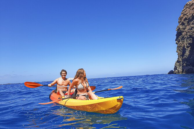 Kayak with Dolphin & Turtle Watching Private Tour - A calm kayak ride in Tenerife’s Teno Rasca marine strip