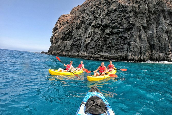 Kayak with Dolphin & Turtle Watching Private Tour - Price and value vs a basic boat tour