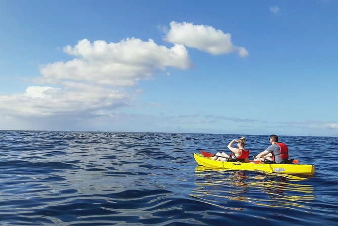 Kayak with Dolphin & Turtle Watching Private Tour - What to watch out for: sea sickness, sun, and staying with the group