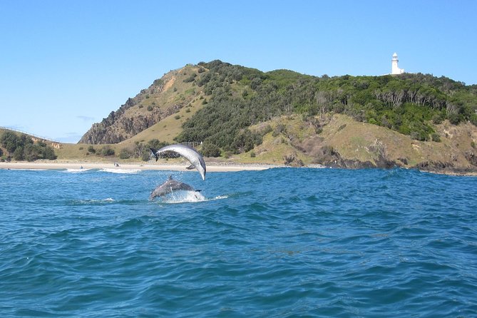 Kayaking with Dolphins in Byron Bay Guided Tour - Meet at Cape Byron Kayaks: The Start of Your Dolphin Hunt