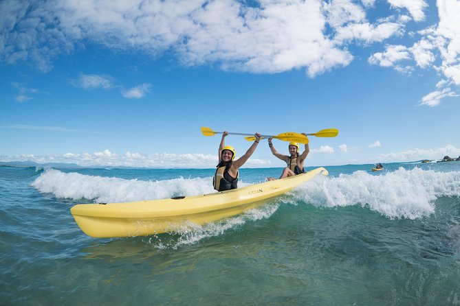 Kayaking with Dolphins in Byron Bay Guided Tour - The Dolphin Search: How Guides Maximize Your Chances