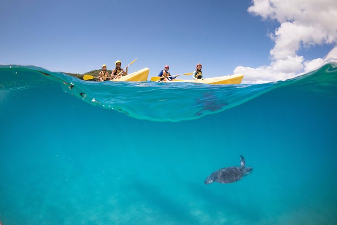 Kayaking with Dolphins in Byron Bay Guided Tour - What to Bring So You’re Not Miserable Afterward