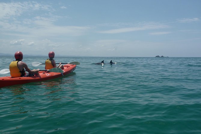 Kayaking with Dolphins in Byron Bay Guided Tour - What You’re Really Doing During the 2.5 Hours