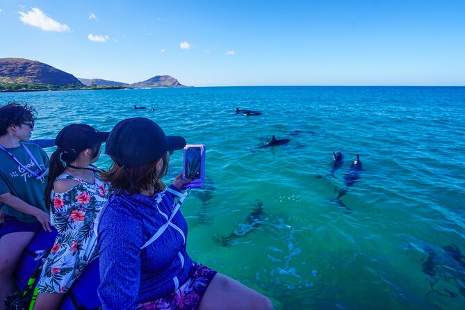 Kealakekua Bay Snorkel & Dolphin Safari In Kona Big Island (4hrs) - Wildlife Cruise After Snorkeling: Dolphin Chances and Deeper-Water Time