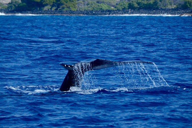 Kealakekua Bay Snorkel & Dolphin Safari In Kona Big Island (4hrs) - BBQ Lunch and Deck Time: What the Food Adds to the Day