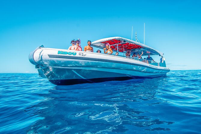 Kealakekua Bay Snorkel & Dolphin Safari In Kona Big Island (4hrs) - The Crew Experience: Friendly, Active Guidance in the Water