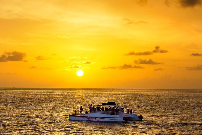 Key West Dolphin and Snorkel Experience - Key Things You’ll Care About Most