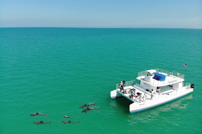 Key West Dolphin and Snorkel Experience - Getting There at 201 William St: The Start That Sets Expectations
