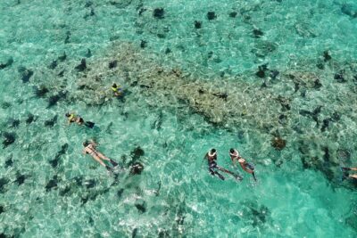 Key West Dolphin and Snorkel Experience - Dolphin Playground and the Florida Keys Sanctuary: What You’re Actually Hunting
