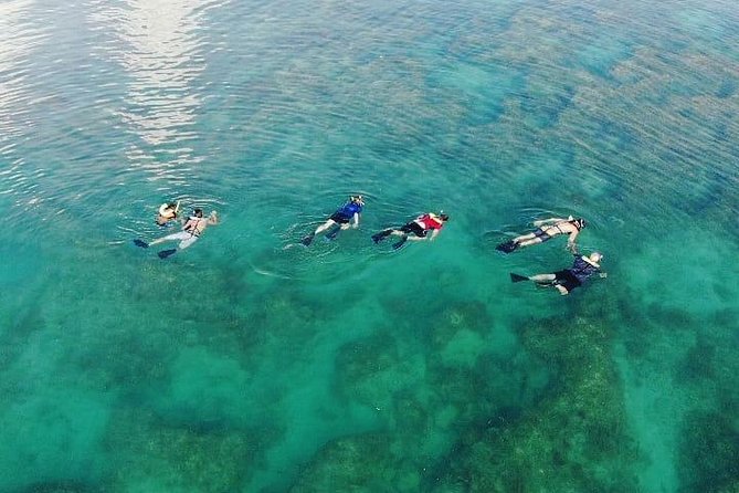 Key West Dolphin and Snorkel Experience - Stop-by-Stop: Key West, the Historic Seaport, and South Beach Views