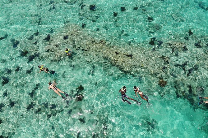 Key West Dolphin and Snorkel Experience - Dolphin Playground and the Florida Keys Sanctuary: What You’re Actually Hunting