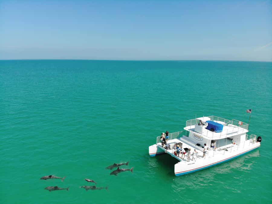 Key West: Dolphin & Reef Snorkel Trip with Sunset Option - Snorkeling time: reefs, sea life, and what to do once you’re in
