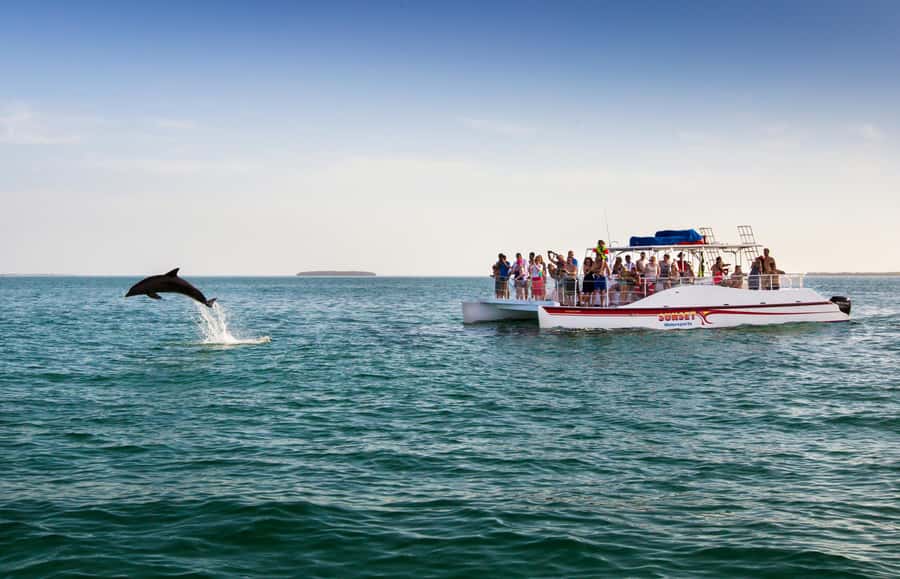 Key West: Dolphin & Reef Snorkel Trip with Sunset Option - Unlimited drinks on the return cruise through Key West harbor