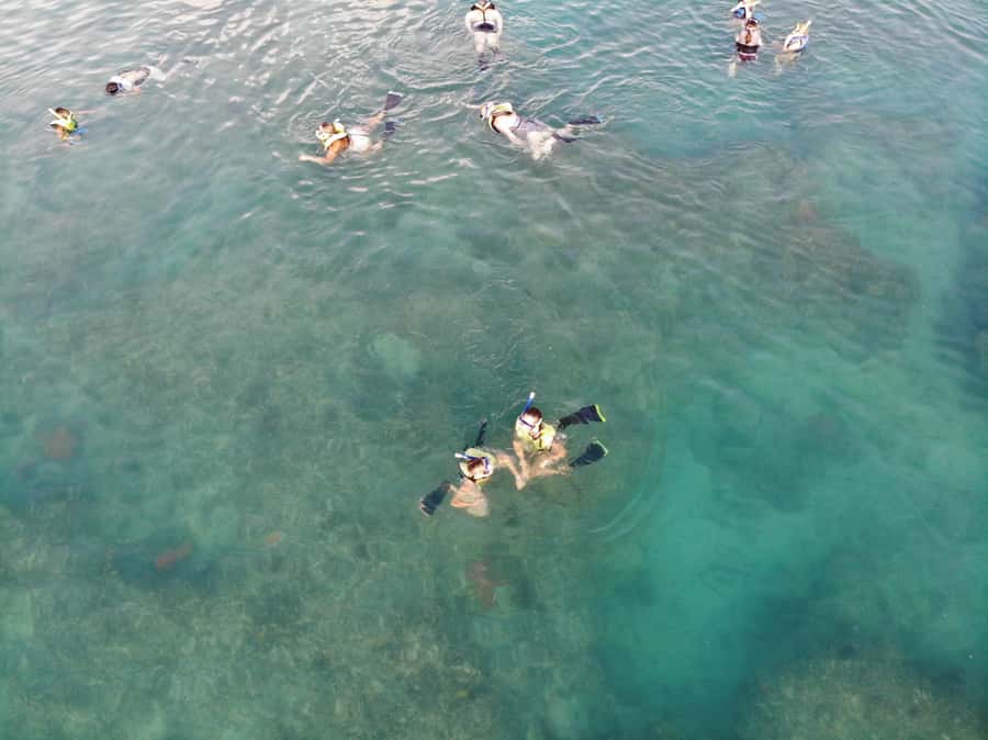 Key West: Dolphin & Reef Snorkel Trip with Sunset Option - Price and value: is $76 per person fair?