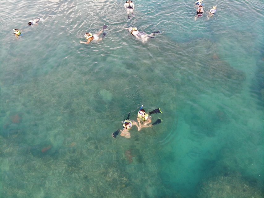 Key West: Dolphin & Reef Snorkel Trip with Sunset Option - Practical details that will save you time (and comfort issues)