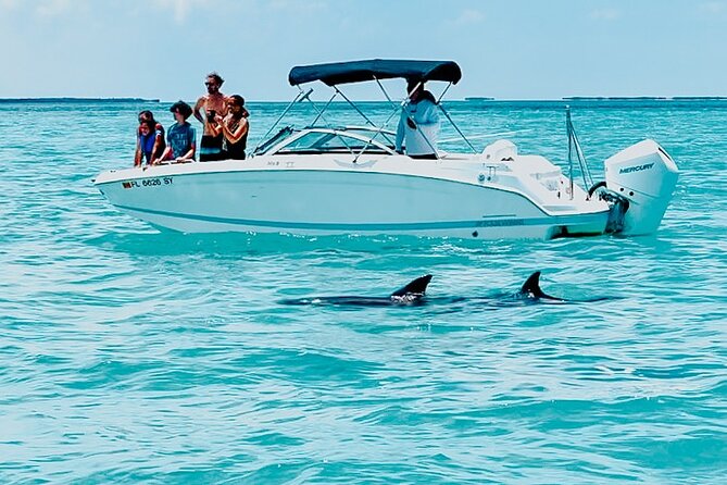 Key West Dolphin & Snorkeling Tour - Small Group - Key West Dolphin & Snorkeling Tour: The Headline Details