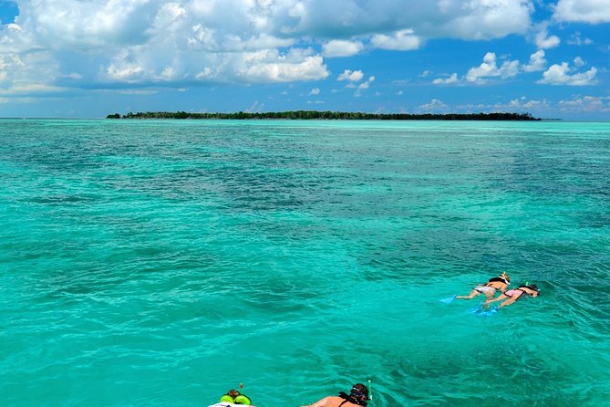 Key West Dolphin Watch and Snorkel Tour - Eco Adventure - From 631 Greene St to open water: your quick, easy start