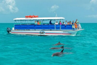 Key West Dolphin Watch and Snorkel Tour - Eco Adventure - Florida Keys National Marine Sanctuary: how the dolphin search actually works