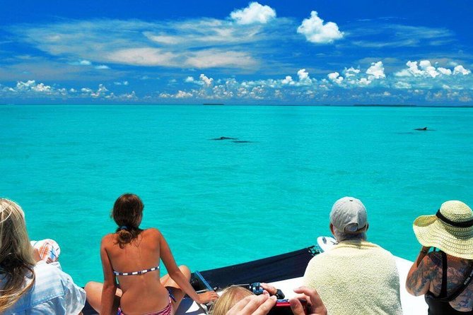 Key West Dolphin Watch and Snorkel Tour - Eco Adventure - Onboard vibe: drinks, sun, restrooms, and the little things that help