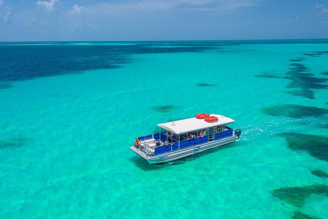 Key West Dolphin Watch and Snorkel Tour - Eco Adventure - Value for $79.95: when this tour is worth it (and when it isn’t)