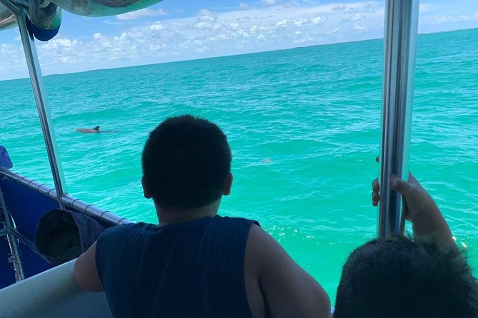Key West Dolphin Watch and Snorkel Tour - Eco Adventure - Should you book the Key West Dolphin Watch and Snorkel (Eco Adventure)?