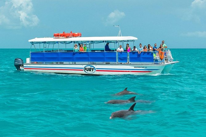 Key West Dolphin Watch and Snorkel Tour - Eco Adventure - Florida Keys National Marine Sanctuary: how the dolphin search actually works