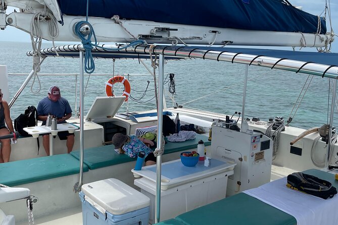 Key West Dolphin Watch and Sunset Sail on Catamaran - Dolphin spotting that feels like a real search, not a drive-by