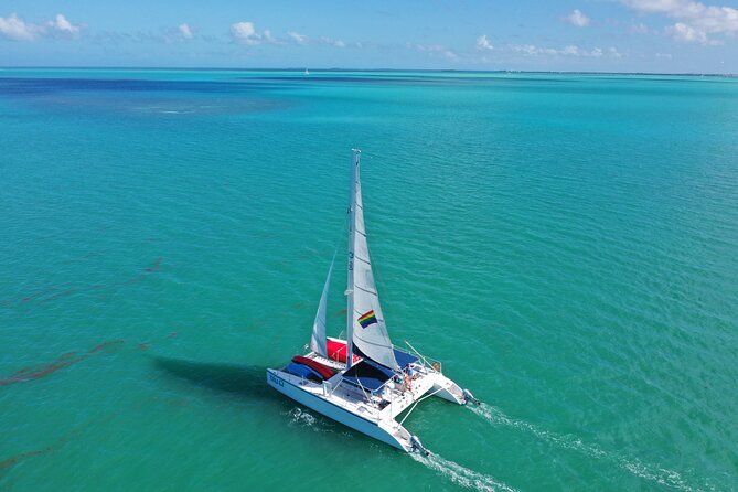 Key West Dolphin Watch and Sunset Sail on Catamaran - Sailing comfort and group size: why small matters at sea