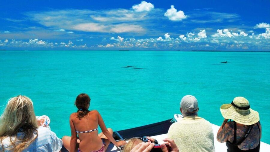 Key West: Dolphin Watching and Snorkeling Eco Cruise Tour - Key West dolphin and snorkeling eco-cruise: the highlights that matter