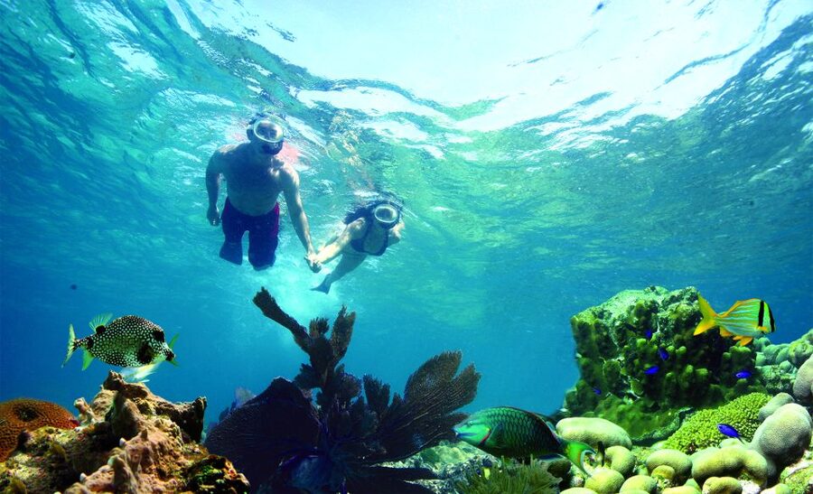 Key West: Dolphin Watching and Snorkeling Eco Cruise Tour - Dolphin watching in the Gulf: what you’re really paying for