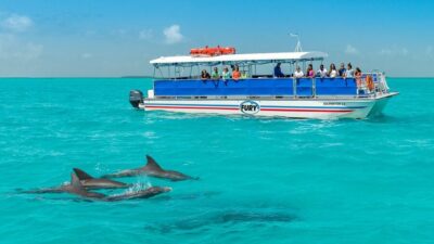 Key West: Dolphin Watching and Snorkeling Eco Cruise Tour - The ride on a 45-foot power catamaran: comfort first, photos second
