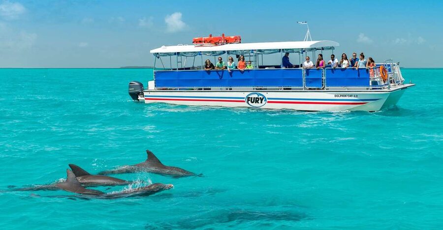 Key West: Dolphin Watching and Snorkeling Eco Cruise Tour - Price and value: is $79 fair for dolphins plus snorkeling?