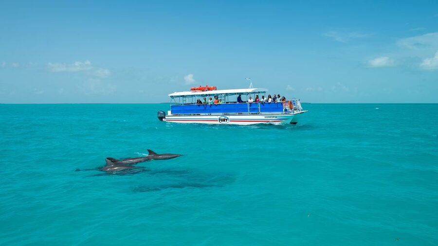 Key West: Dolphin Watching and Snorkeling Eco Cruise Tour - Tips to make your tour smoother (before you even hit the dock)